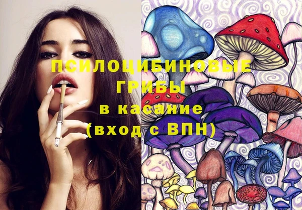 спайс Пестово