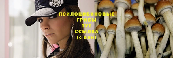 ГАЛЛЮЦИНОГЕННЫЕ ГРИБЫ Пересвет