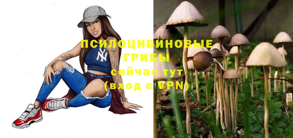 ГАЛЛЮЦИНОГЕННЫЕ ГРИБЫ Пересвет