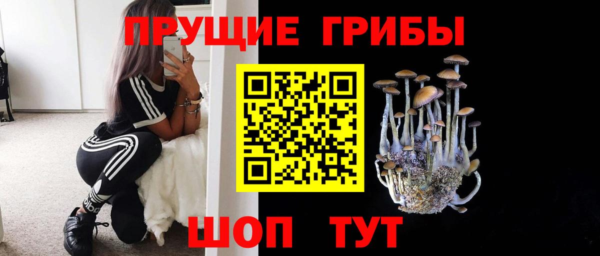 Псилоцибиновые грибы Cubensis Сарапул